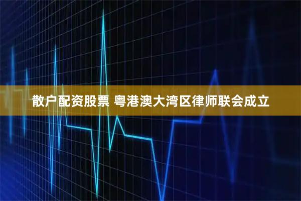 散户配资股票 粤港澳大湾区律师联会成立